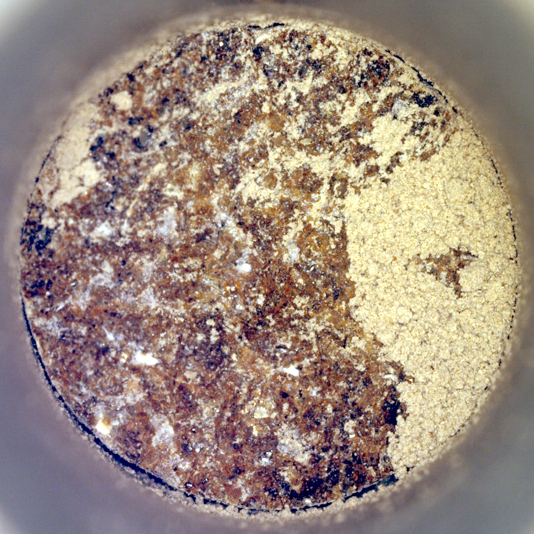 NASA's Perseverance Mars rover captured this image of a sample cored from a rock called "Bunsen Peak" on March 11, 2024, the 1,088th Martian day, or sol, of the rover's mission. The image shows the bottom of the core.