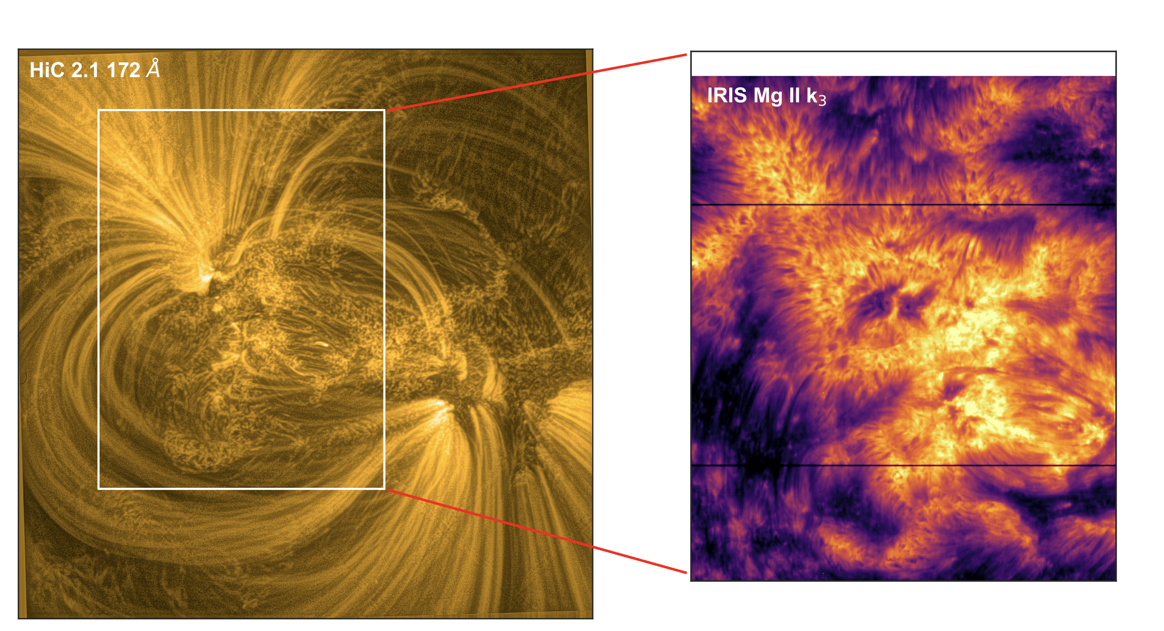 The left image shows thin swirls of bright golden material flowing off the Sun's surface. The outline of a white box is over a speckled area of the surface, in gray and bright gold. On the right, is that area in different wavelengths. The image is purple, black, red, orange, and right yellow. In the highlighted area, the speckles are a very bright yellow with some cooler purple areas.