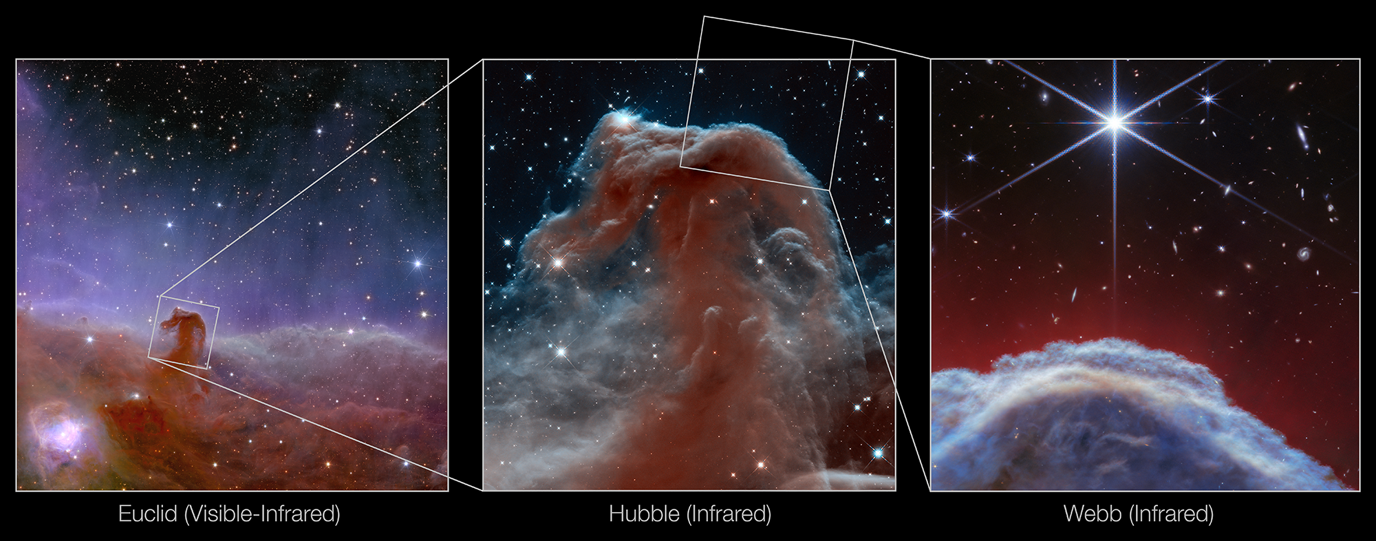 A horizontal collage of three images of the Horsehead Nebula. The left image is labeled “Euclid (Visible-Infrared)” and shows a dusty red-brown nebula at bottom with wispy blue clouds in the middle and the black background of space at top, with stars throughout. A portion of the nebula shaped like the head of a seahorse juts upward from the thickest part of the nebula into the blue wisps. A small box around it connects to the second image labeled “Hubble (Infrared)”, where the Nebula is zoomed in on. Here the central part of the horse’s head remains a dark, dusty red, while the outer portions become a translucent, ethereal gray. At the top of the horse’s head, a box connects to the third image labeled “Webb (Infrared)”. A clumpy dome of blueish-gray clouds rises about a third of the way into the image, capped with translucent red wisps and, at top, a single, prominent star.