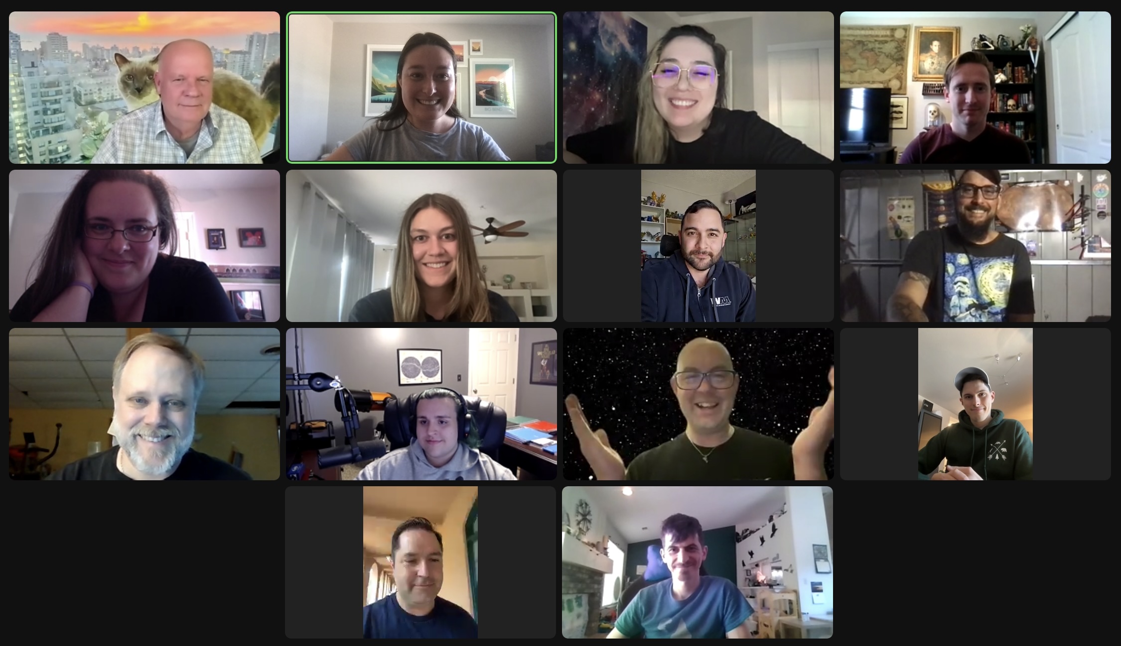 A composite screenshot of 12 participants on a video call.