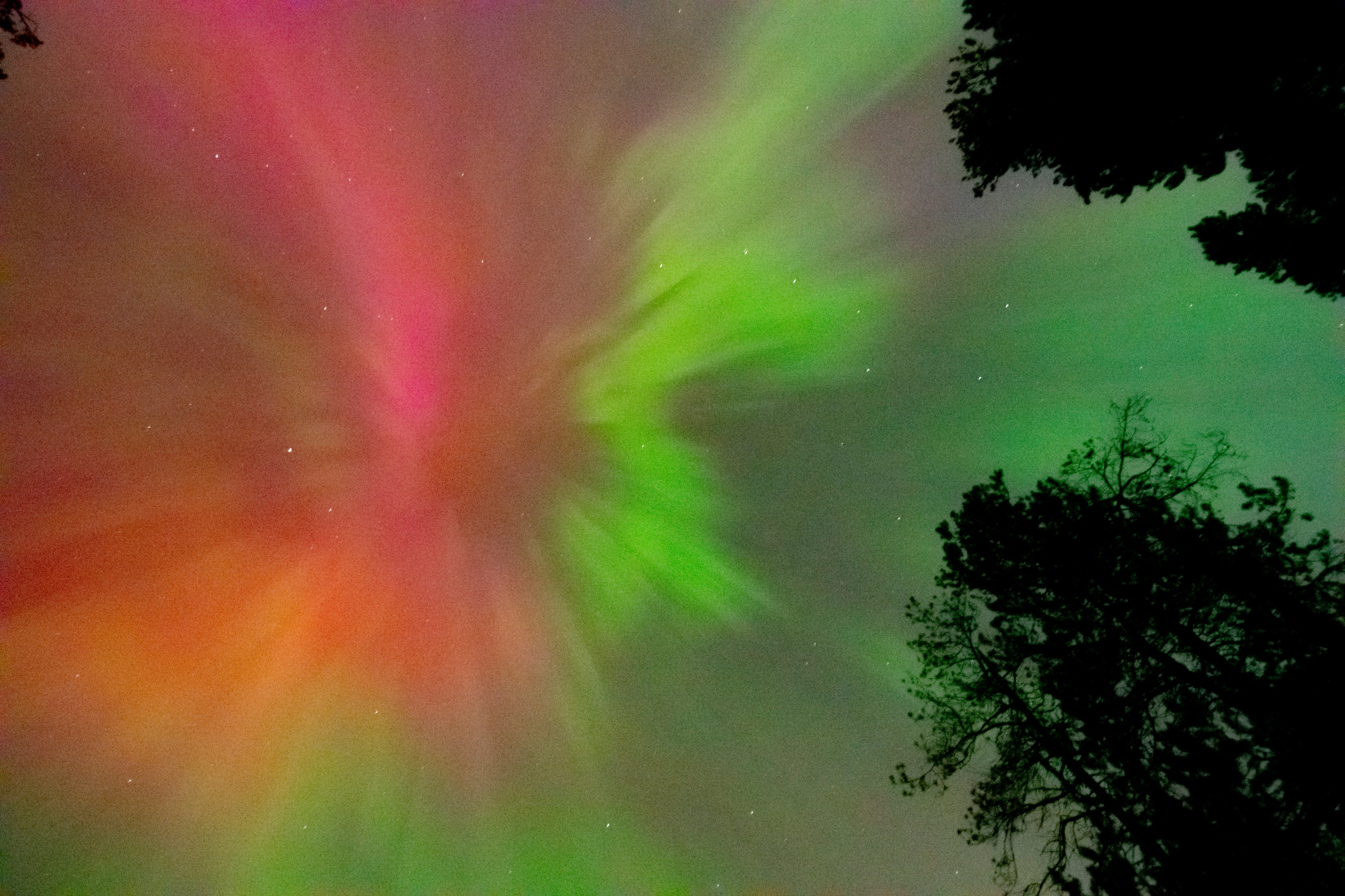 Red and green streaks of an aurora radiate out from the center of the photo. Black silhouettes of trees line the edge.