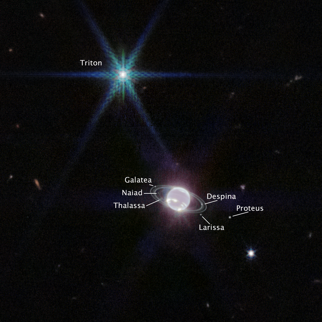 Webb captured seven of Neptune’s 14 known moons: Galatea, Naiad, Thalassa, Despina, Proteus, Larissa, and Triton. Neptune’s large and unusual moon, Triton, dominates this Webb portrait of Neptune as a very bright point of light sporting the signature diffraction spikes seen in many of Webb’s images. Labels have been added for Neptune moon names.