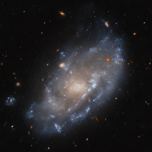 Hubble Hunts Visible Light Sources of X-Rays thumbnail
