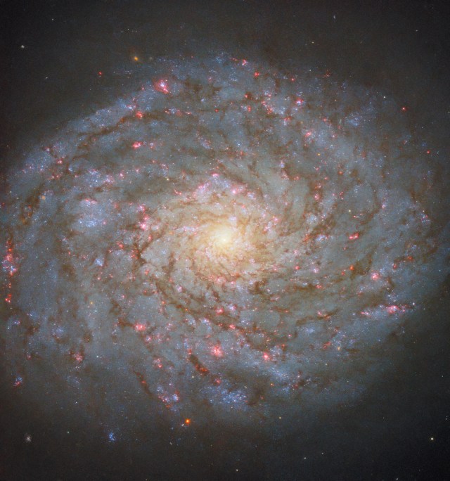 Hubble Observes a Luminous Spiral in the Queen’s Locks