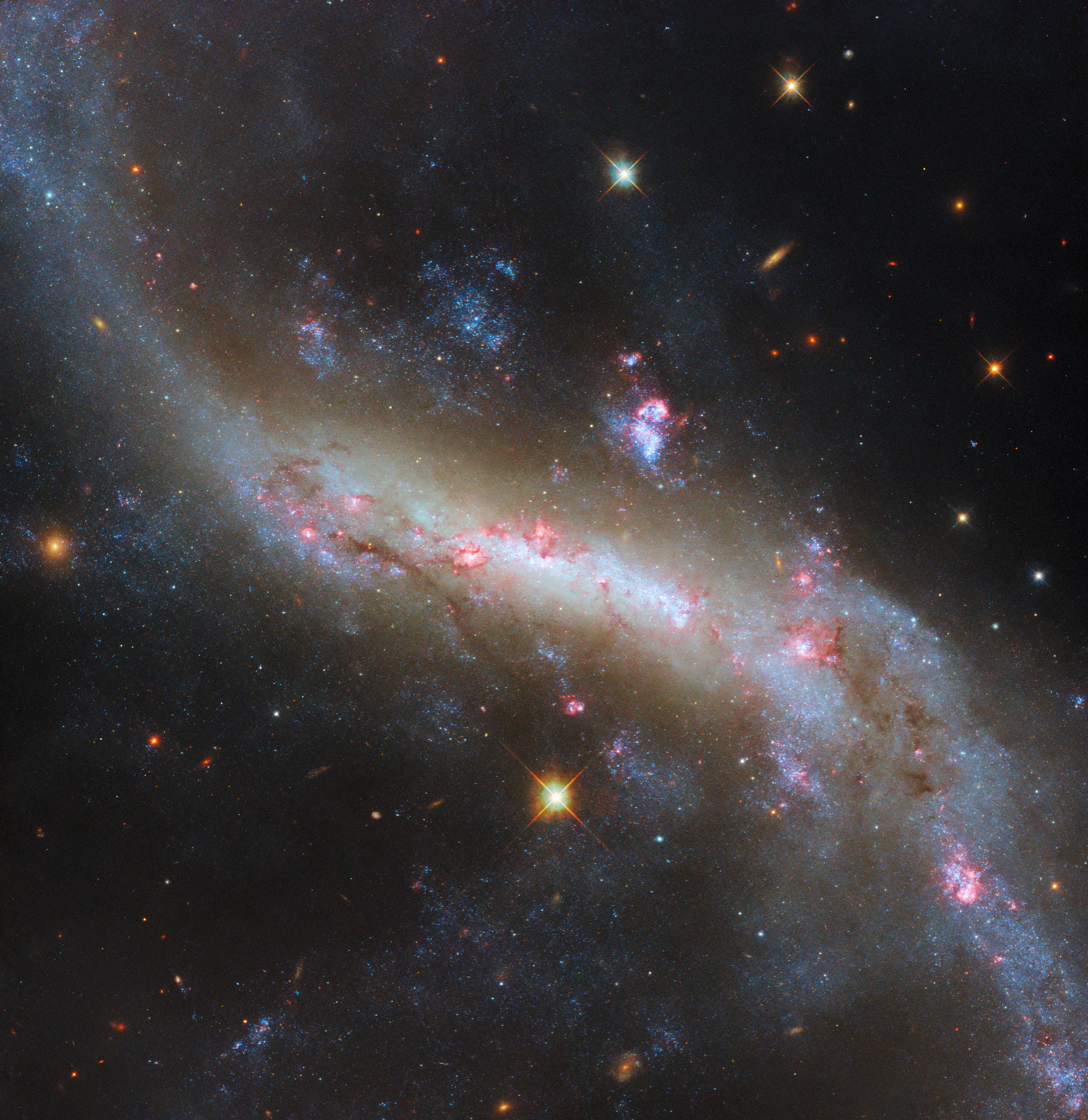 A close-in view of a barred spiral galaxy. The bright, glowing bar crosses the center of the galaxy, with spiral arms curving away from the bar’s ends and continuing out of view. Bright patches of light where stars are forming surround the bar, which also holds dark lines of dust. The galaxy’s clouds of gas spread out from its arms and bar, giving way to a dark background with some foreground stars and small, distant galaxies.