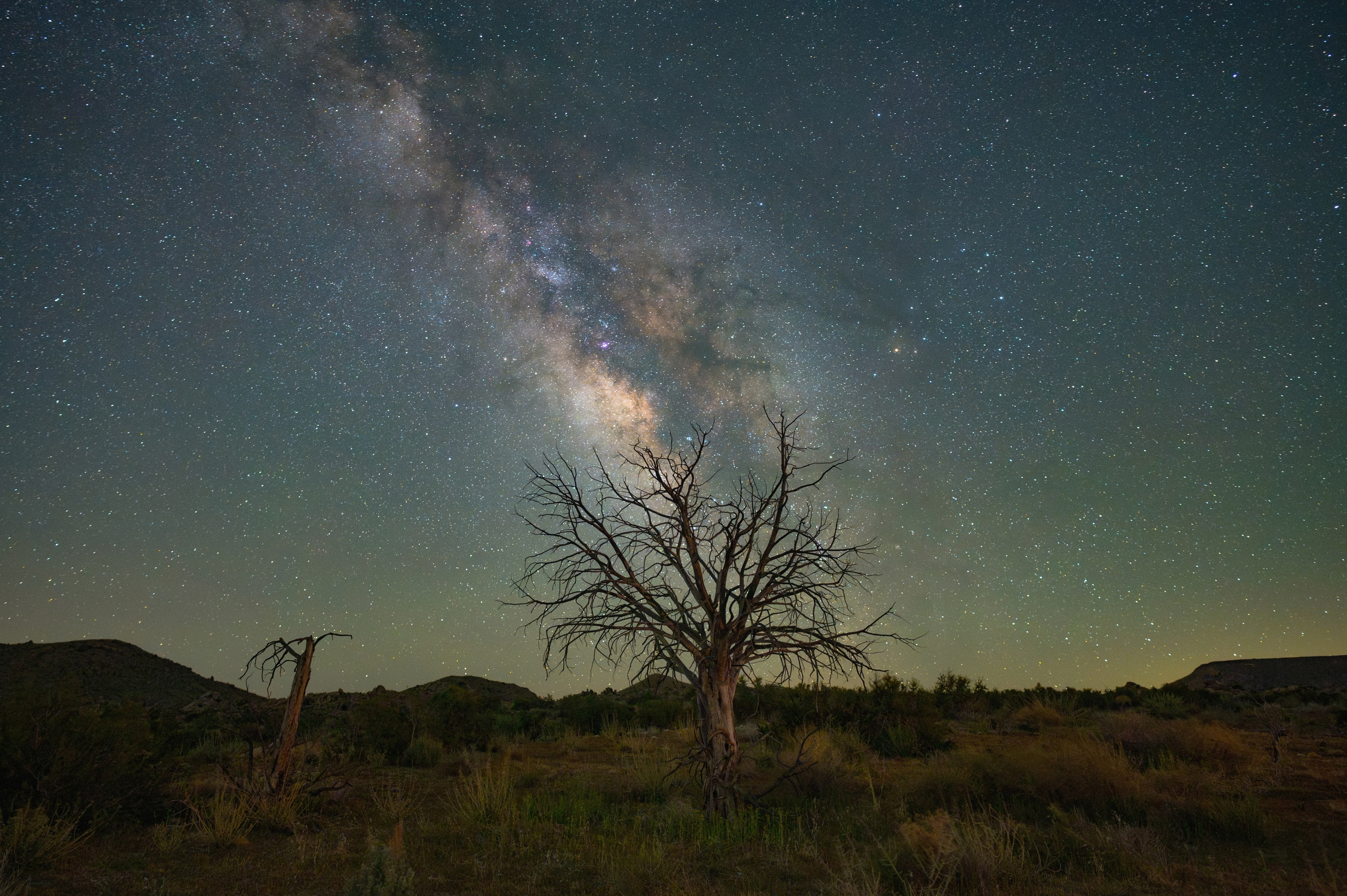 The bright, glowing Milky way fills the middle of this desert landscape.
