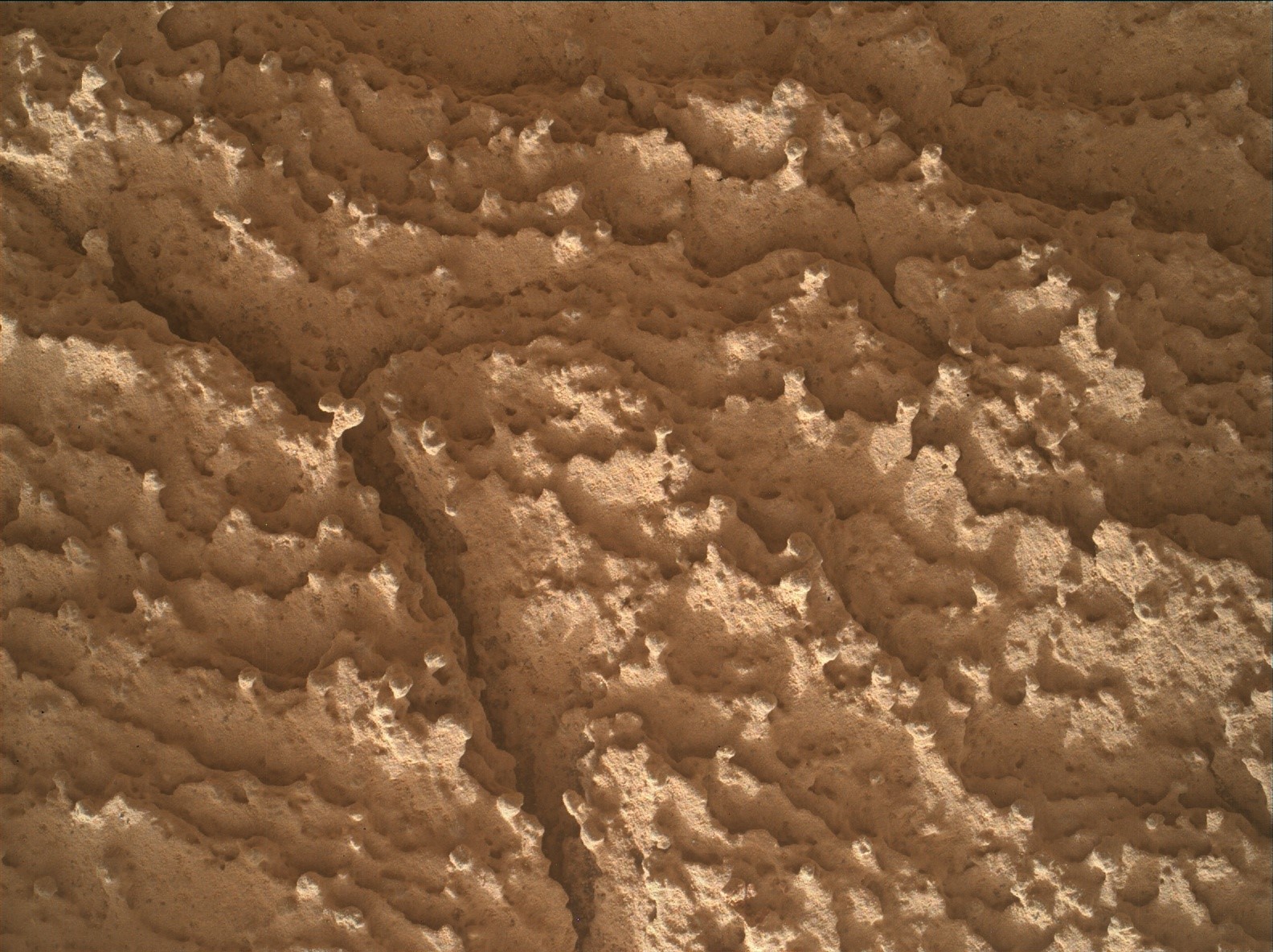 This image was taken by MAHLI onboard NASA's Mars rover Curiosity on Sol 4187