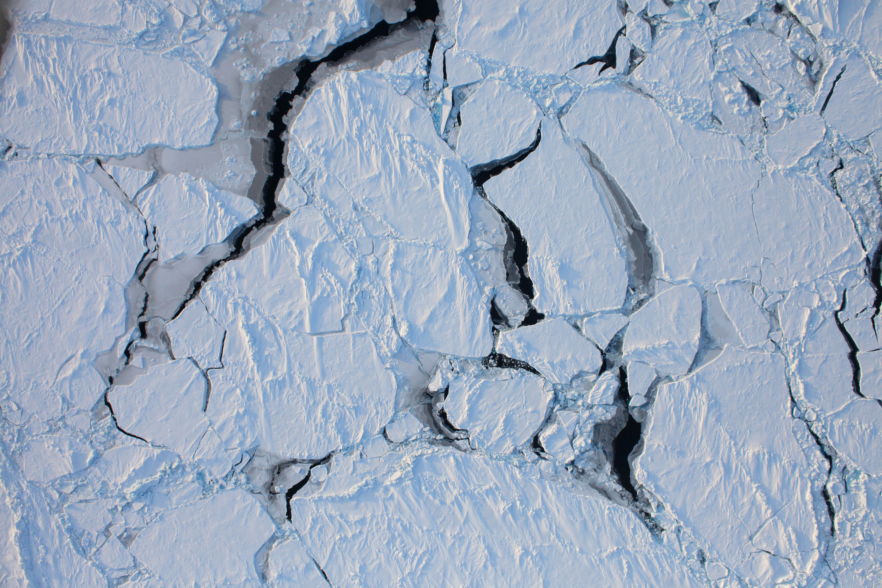 White-colored sea ice is shown with many dark-colored cracks.