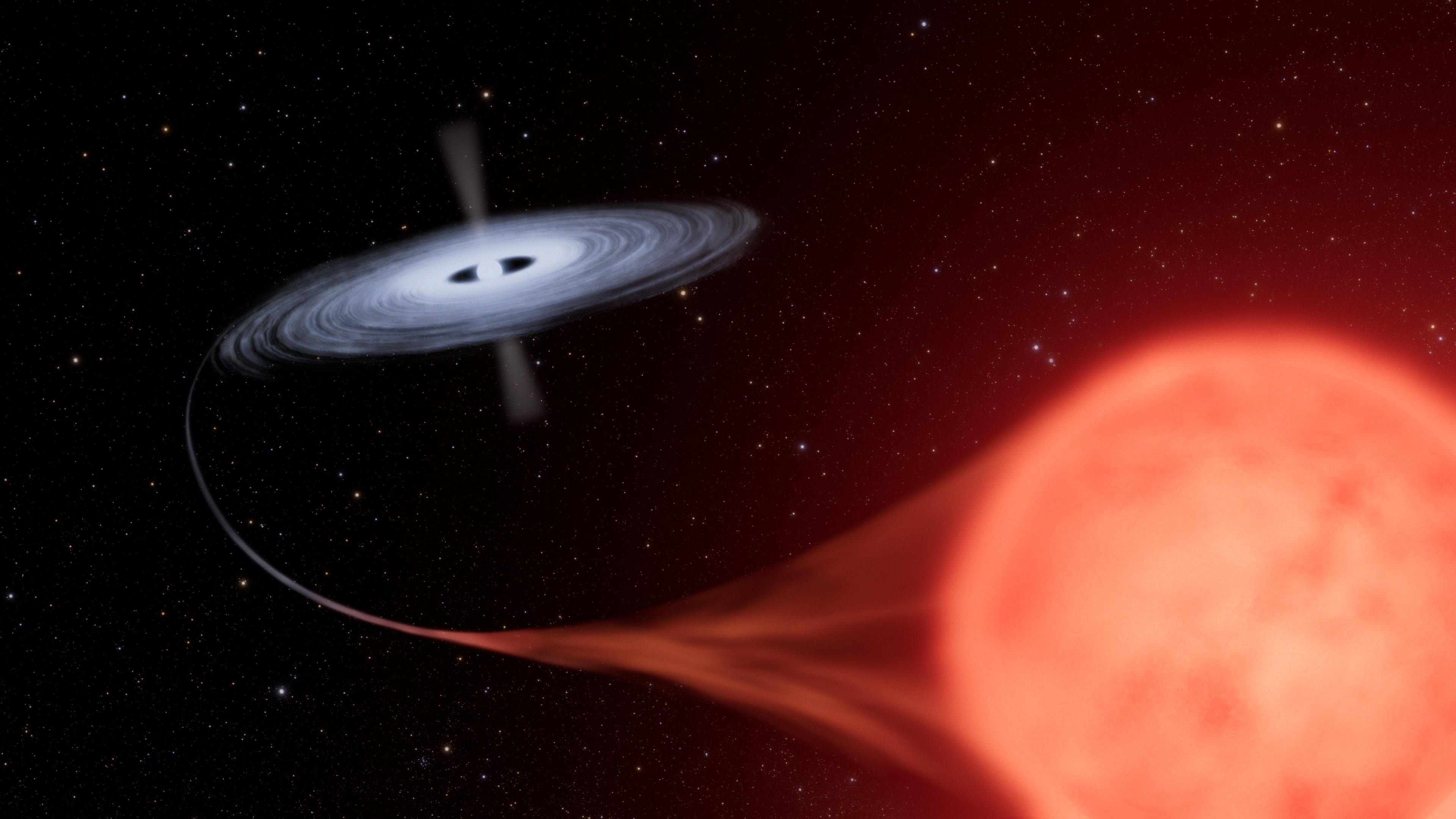 An artist's concept of the binary star system HM Sge on the black background of space sprinkled with various sizes of red and white points of light. At the top of the image a blazing hot white disk surrounds a white dwarf star that is pulling a stream of material from its red giant companion, the glowing mottled ball at bottom right.