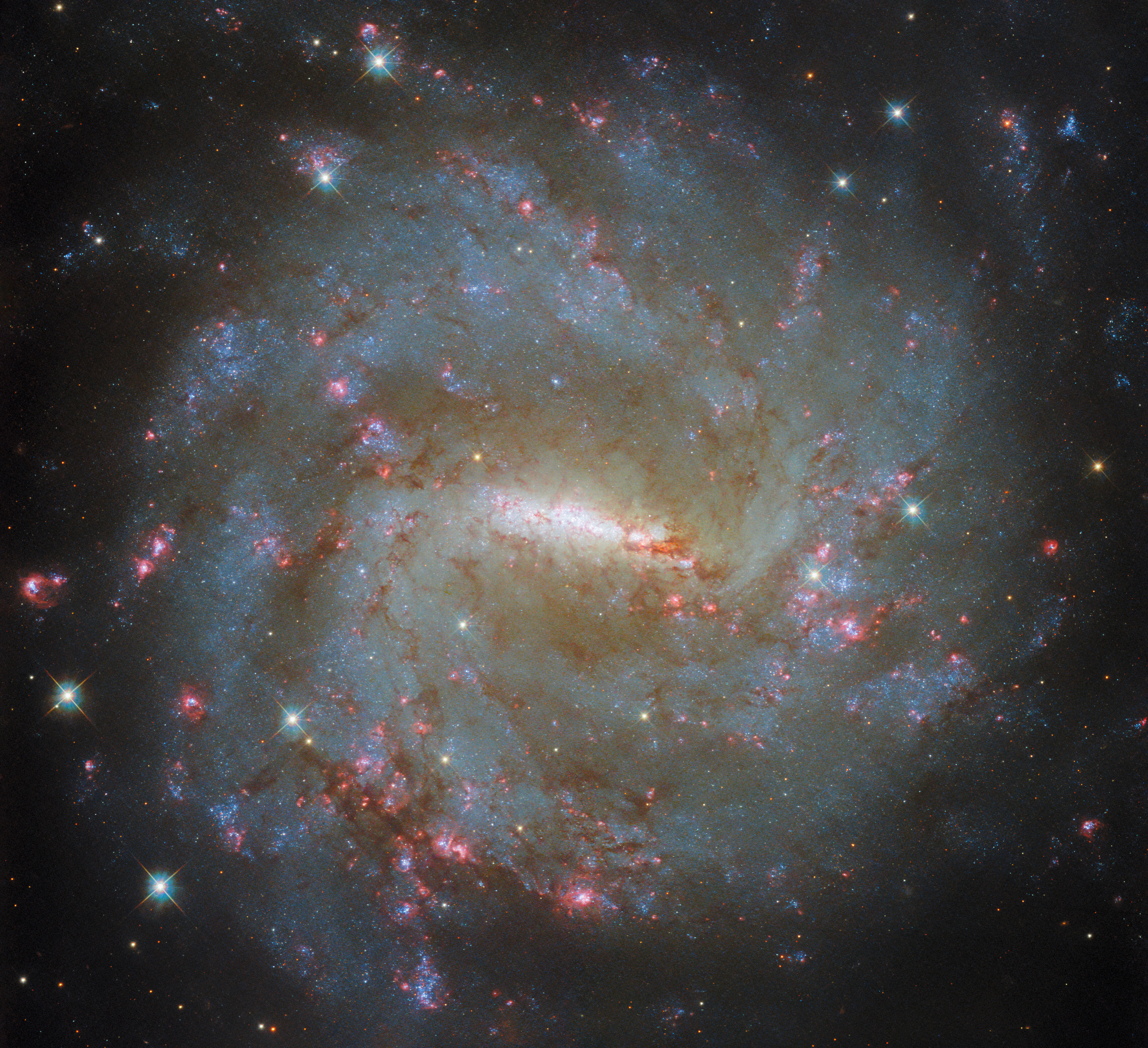Hubble Examines a Barred Spiral’s Light