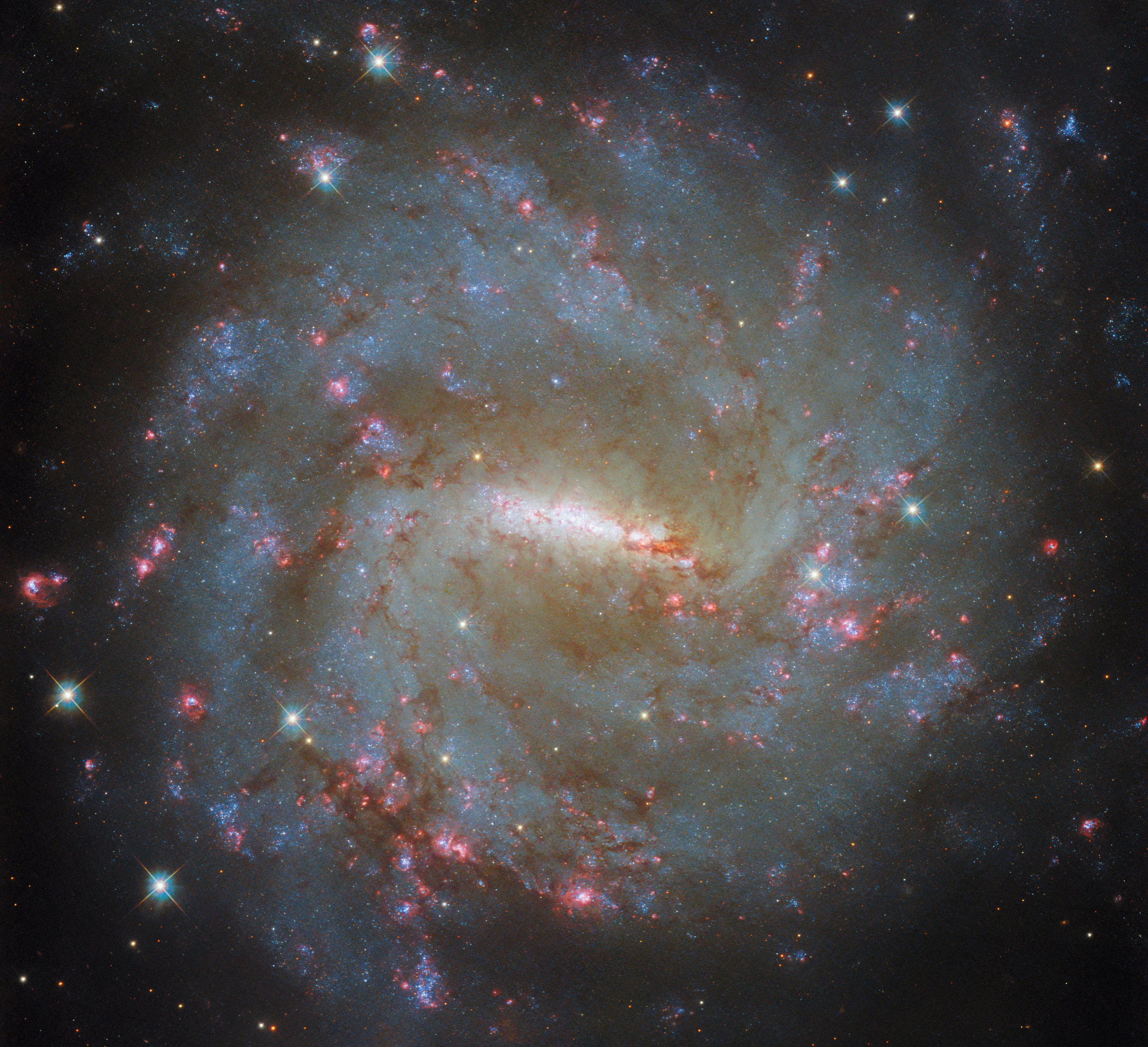 A barred spiral galaxy seen face-on. Its many arms and distinct, glowing, bar-shaped core are easily visible. The galaxy’s arms hold bluish patches of older stars, pink patches where new stars are forming, and dark threads of dust. A few bright stars with cross-shaped diffraction spikes lie between us and the galaxy and are visible in the foreground.