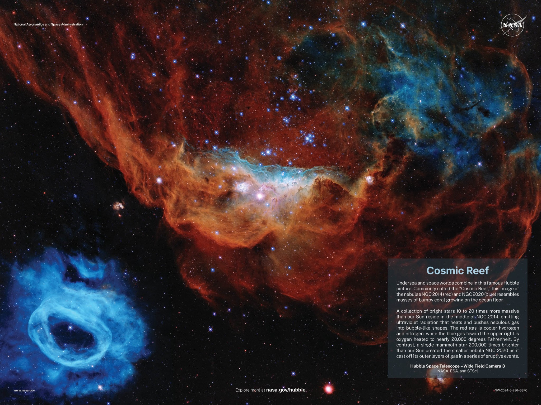 Cosmic Reef