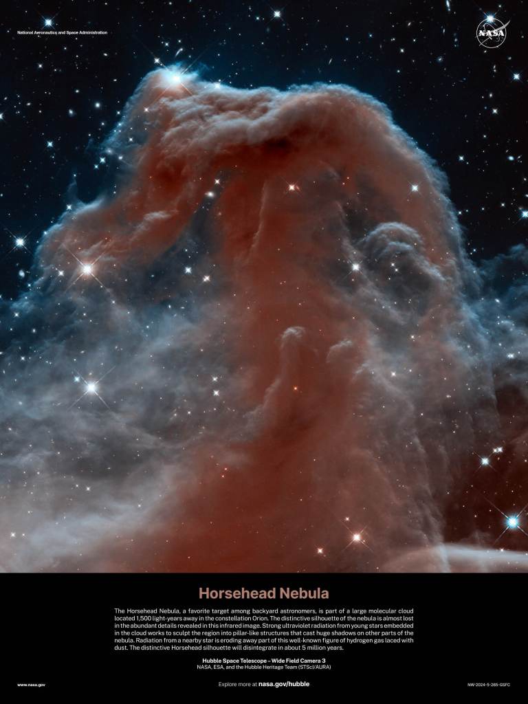 Hubble Poster 2024 - Horsehead Nebula