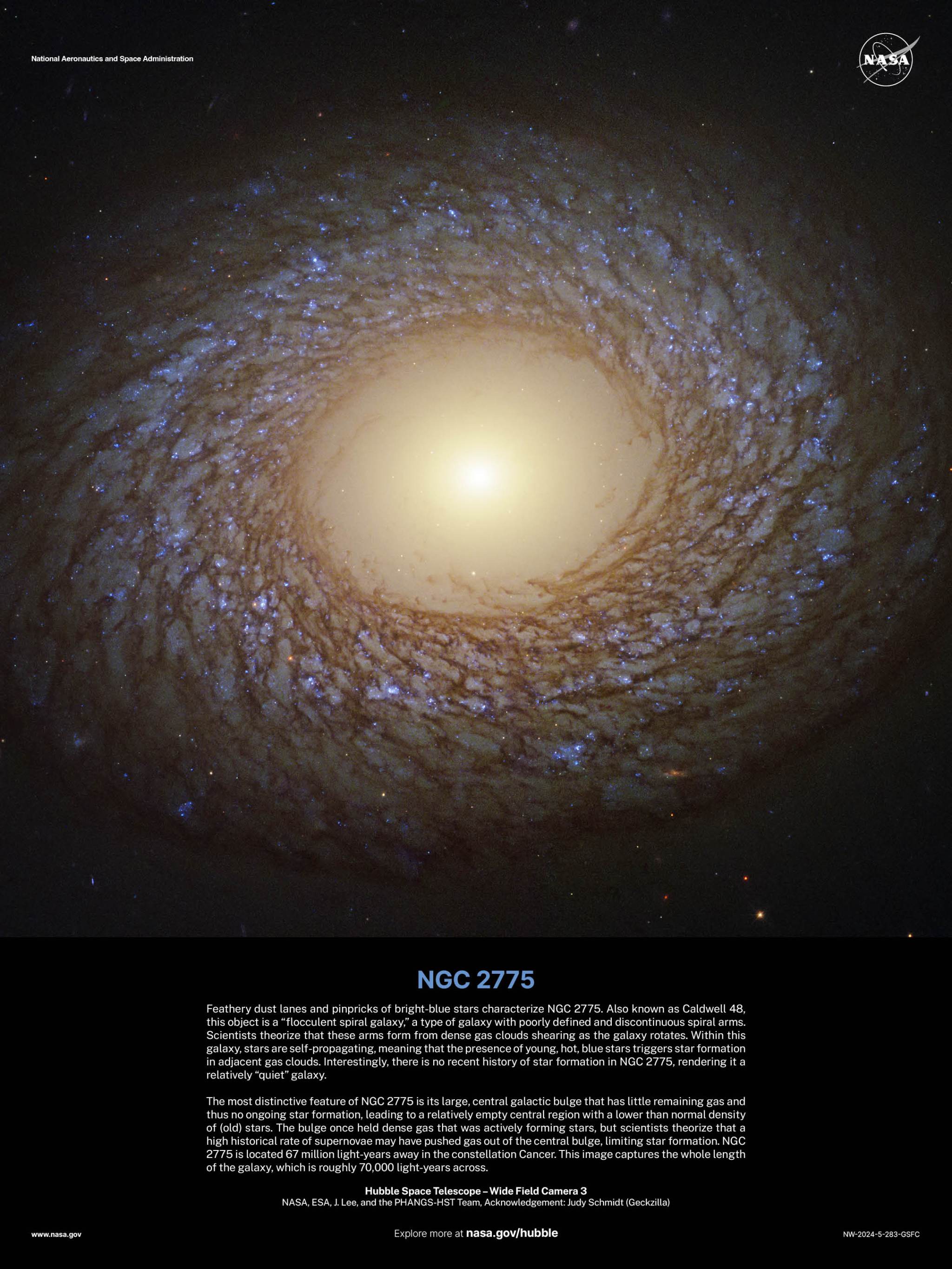 NGC 2775