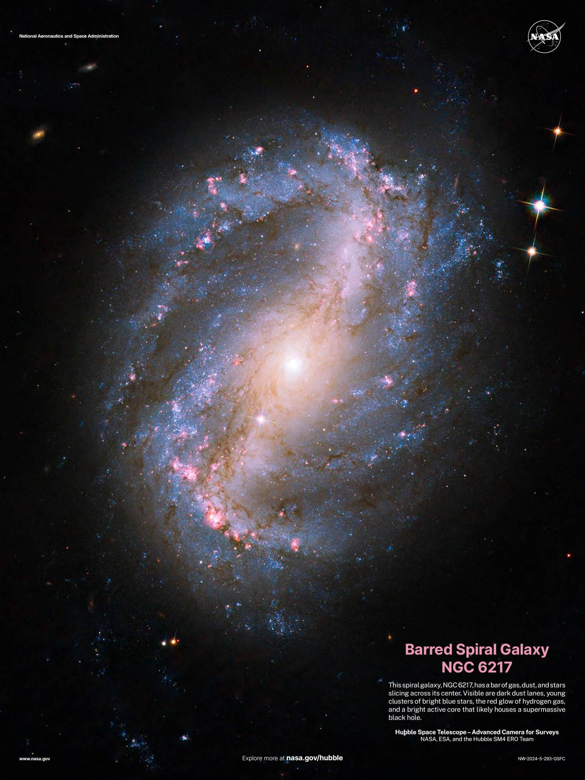 Barred Spiral Galaxy NGC 6217