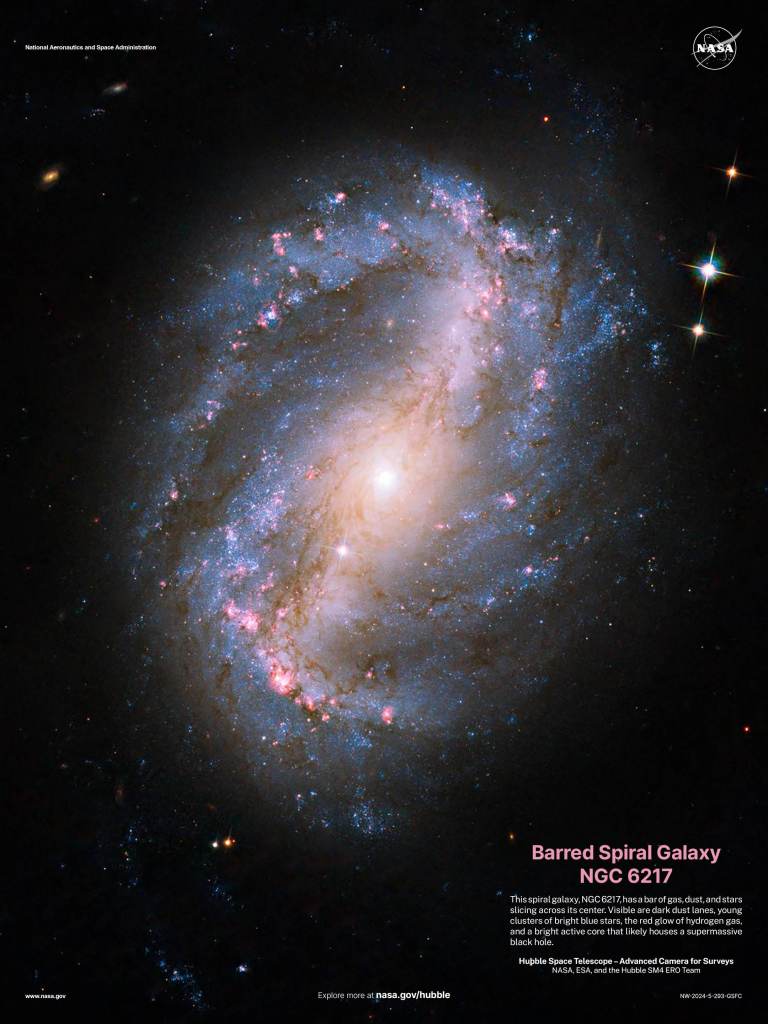 Hubble Poster 2024 - Barred Spiral Galaxy NGC 6217