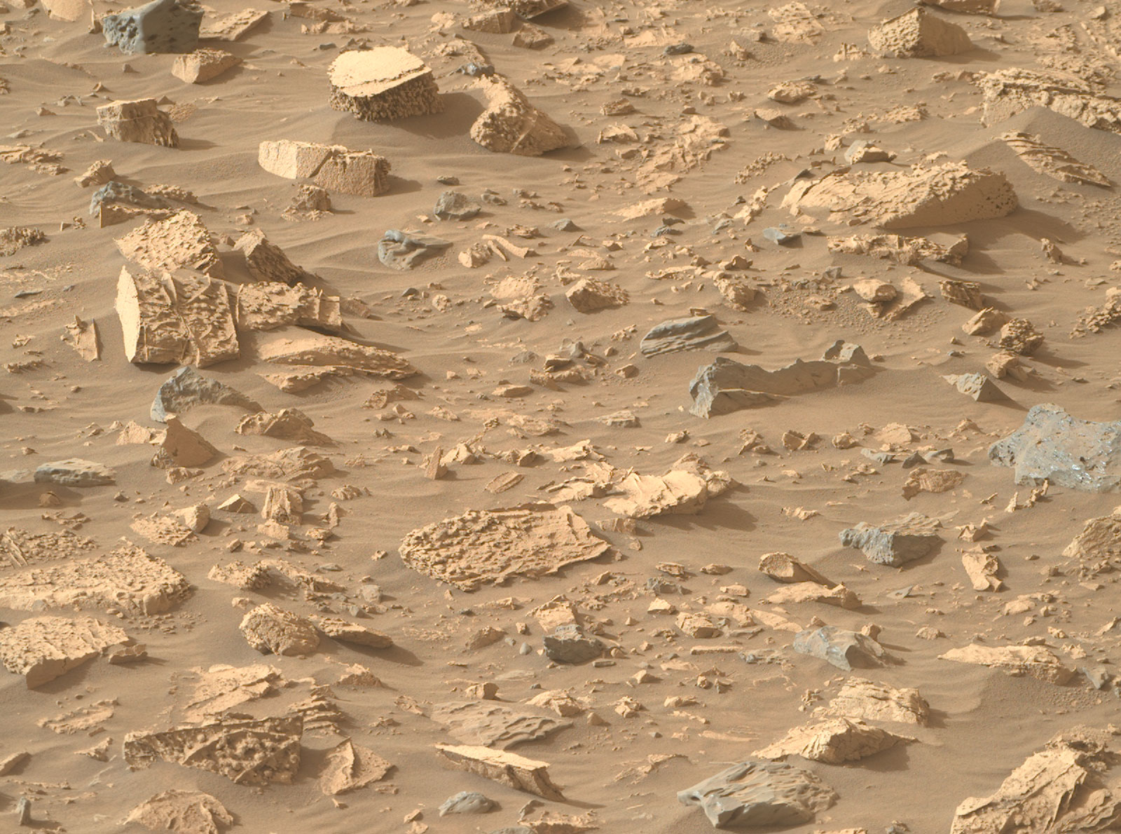 A jumbled field of light toned rocks with unusual ‘popcorn’-like textures and abundant mineral veins.