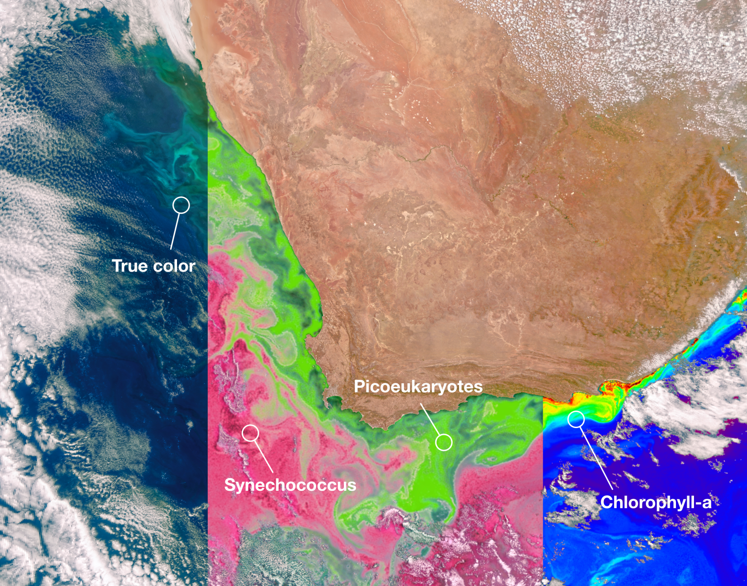 A composite satellite image of southern Africa and its surrounding water is shown highlighting three different views the satellite provides. The first view on the left shows a true color view with blues and turquoise water and white clouds. The middle view has green colors swirling around the coast and pink colors further out into the water. The last view has rainbow colors with red, yellow and green along the coast and blue and purple further out into the water. The land is different shades of brown.