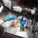 Image of astronaut’s hands in glovebox