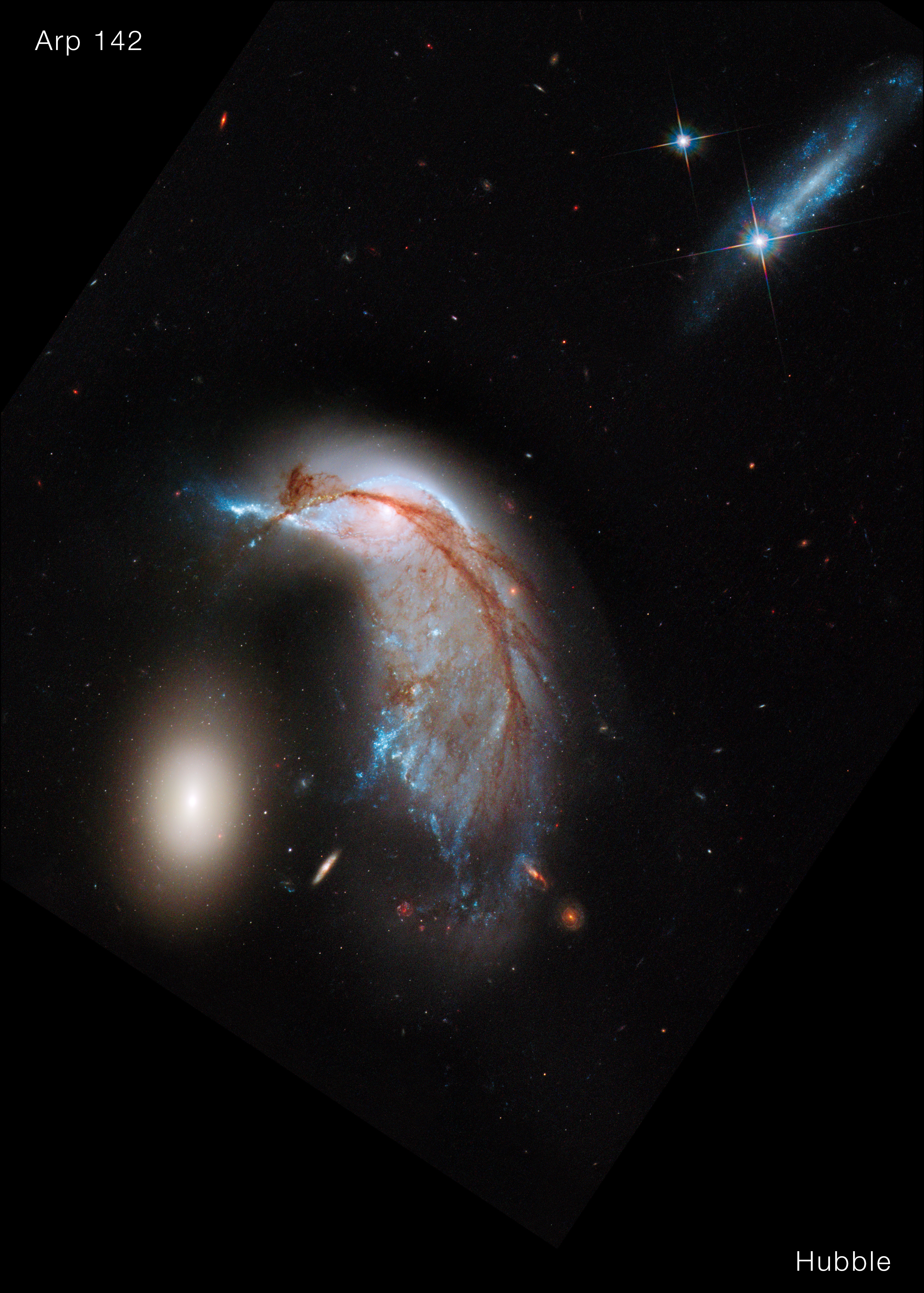 Hubbles view of a frame split down the middle: Hubble’s visible light image at left, and Webb’s near-infrared image at right. Both show the Egg at left and the Penguin at right. In Hubble’s view, the Penguin is highly detailed, with a bright blue beak, body, and tail that is covered in an arc of bright brown dust. The Egg, to its left, appears bright, gleaming yellowish white. At top right is another galaxy seen from the side, about as long as the Egg’s height. Dozens of galaxies and stars appear in the background. Webb’s near-infrared image shows the Penguin’s beak, head, and back in shades of pink. It’s tail-like region is more diffuse, and a mix of lighter pinks and blues. The Egg appears slightly larger in blue layers. A semi-transparent blue forms an upside down U overtop both galaxies. At top right, an edge-on galaxy has many more pinpricks of light, which are stars. Thousands of galaxies and stars appear in the background. Some galaxies are shades of orange, while others are white. Click View Description for additional details.