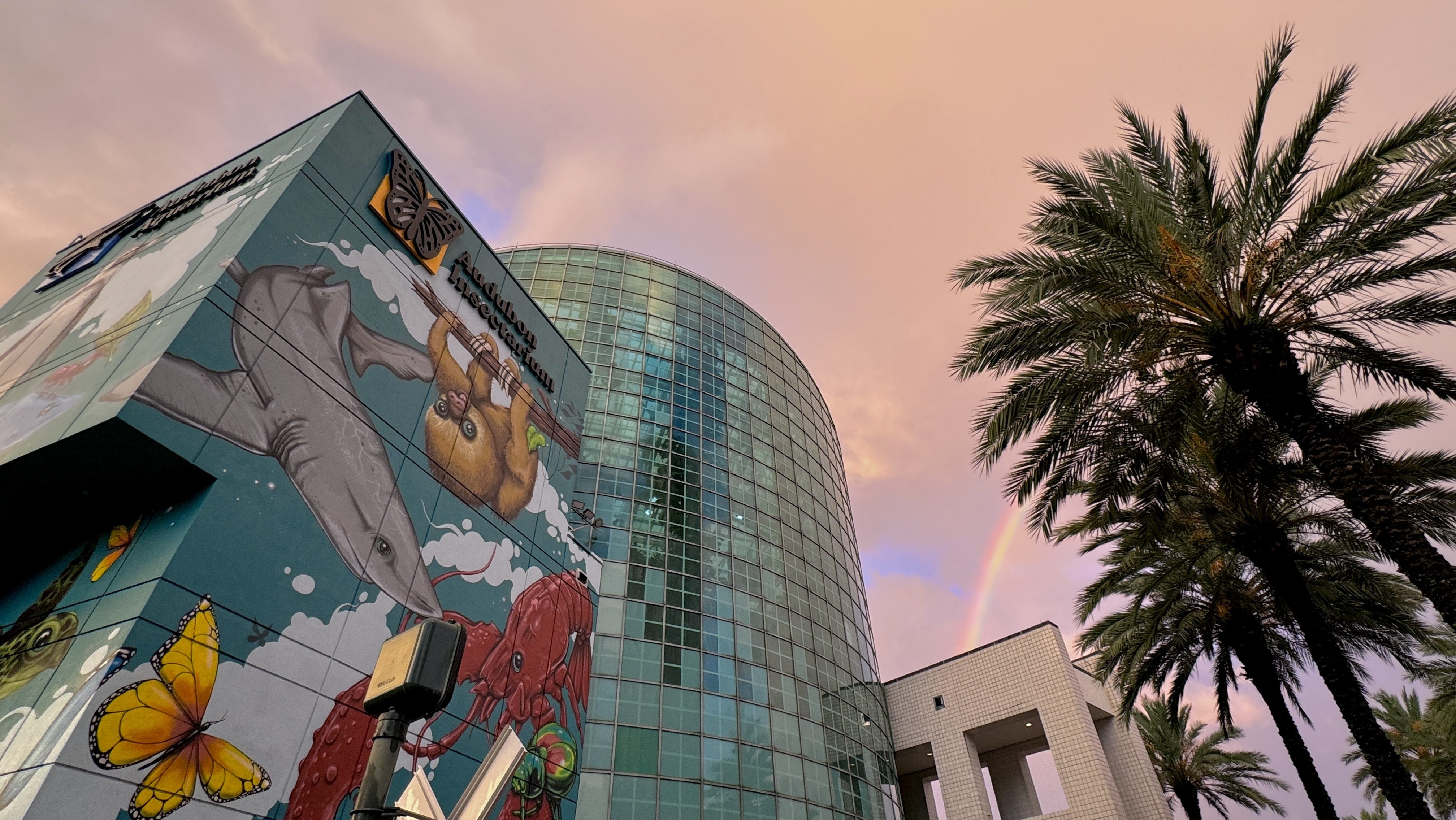 The exterior of the Audubon Aquarium in New Orleans. The building on the far left is blue with drawings of sea creatures and butterflies. The building to the right of if is blue glass, and the top of the next building is light brown.