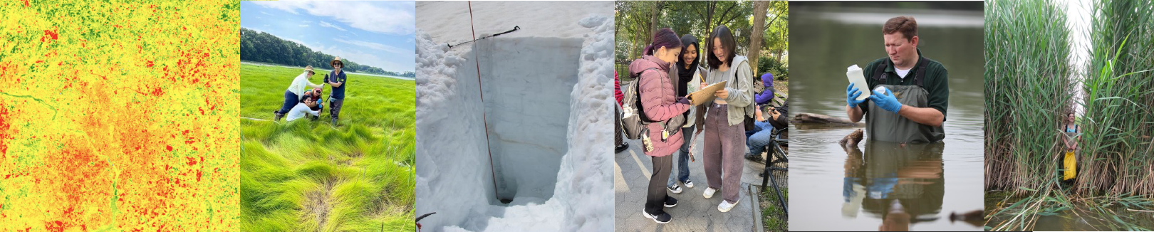 Series of 6 images depicting the following CCRI research projects. The first visualization is of NASA land surface temperature data. The second image shows three students obtaining field data in the wetlands along the Hudson Bay. The third image is field instrumentation for collecting snow depth. The fourth is of students collecting thermal data in New York City. The fifth is of a student collecting samples within a lake. The 6th is of a student walking through the estuary carrying a dry bag for samples and instrumentation.