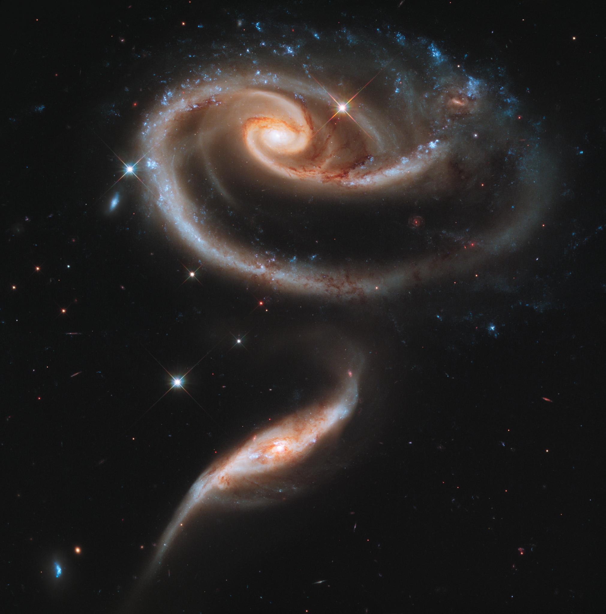 To celebrate the 21st anniversary of the Hubble Space Telescope's deployment into space, astronomers at the Space Telescope Science Institute in Baltimore, Md., pointed Hubble's eye at an especially photogenic pair of interacting galaxies called Arp 273. The larger of the spiral galaxies, known as UGC 1810, has a disk that is distorted into a rose-like shape by the gravitational tidal pull of the companion galaxy below it, known as UGC 1813. This image is a composite of Hubble Wide Field Camera 3 data taken on December 17, 2010, with three separate filters that allow a broad range of wavelengths covering the ultraviolet, blue, and red portions of the spectrum.