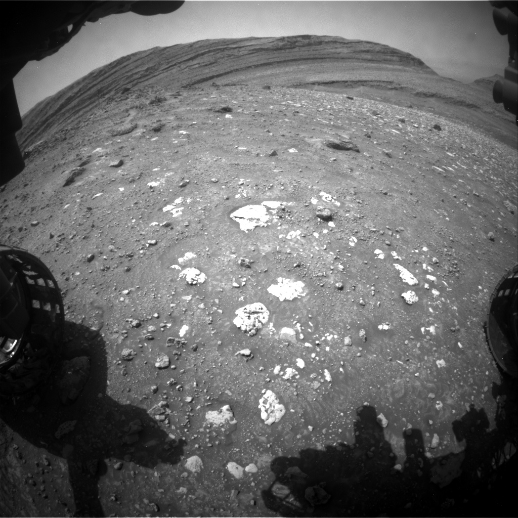 Grayscale photo shows an extreme wide-angle view of the Martian landscape, with the horizon forming a semicircle across the upper third of the frame. Light-colored rocks – almost white – are exposed and scattered across the medium gray, pebbly soil just in front of the rover, filling the center of the frame, while smooth, gentle hills mark the horizon beyond.
