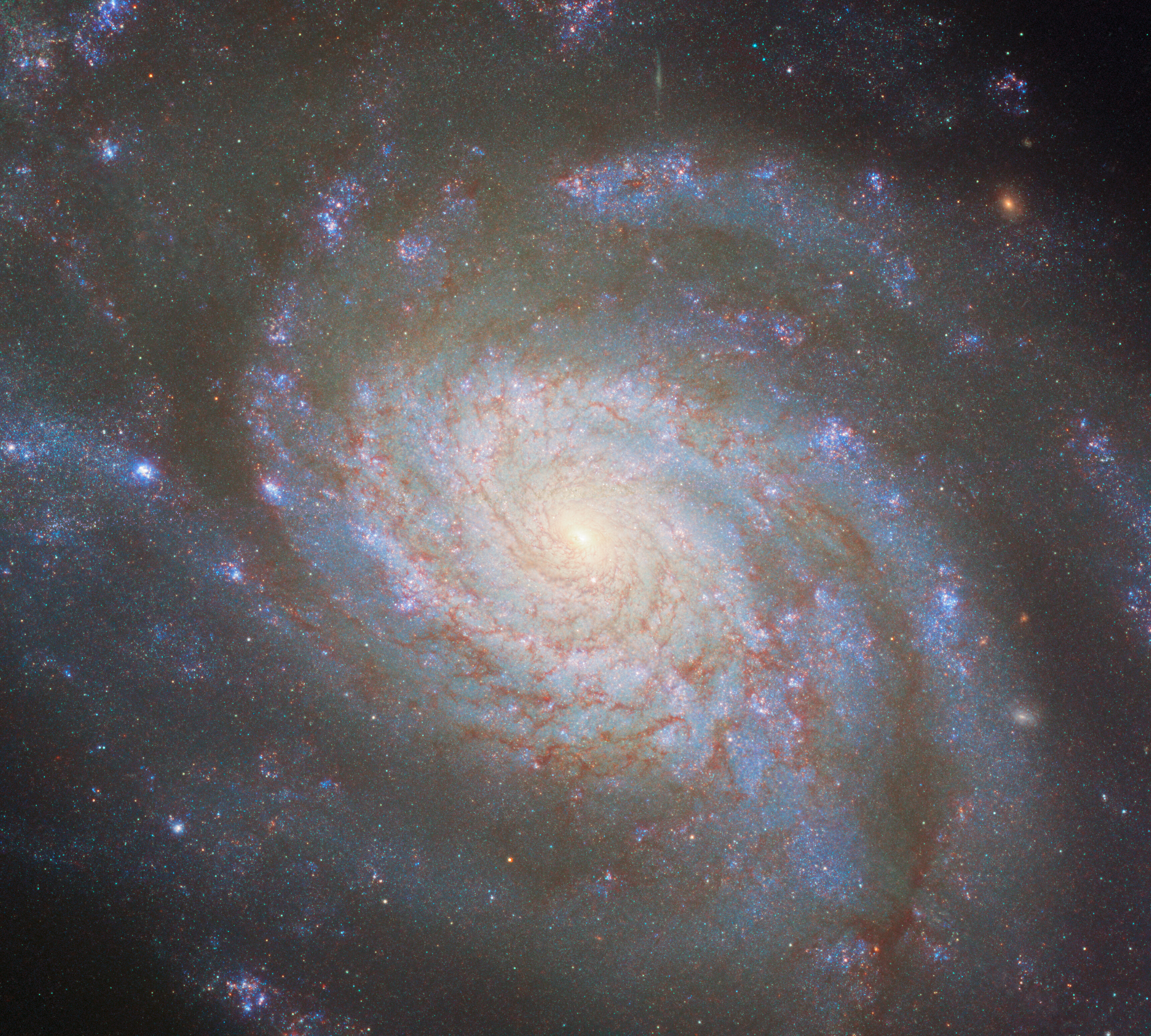 A spiral galaxy seen almost face-on. Large spiral arms whirl out from its center, filling the scene. They glow faintly blue from the stars within, with some small bright patches of blue and pink marking areas of star formation. Thin filaments of dark reddish dust that block light overlay the stars. The galaxy’s center shines brightly white.
