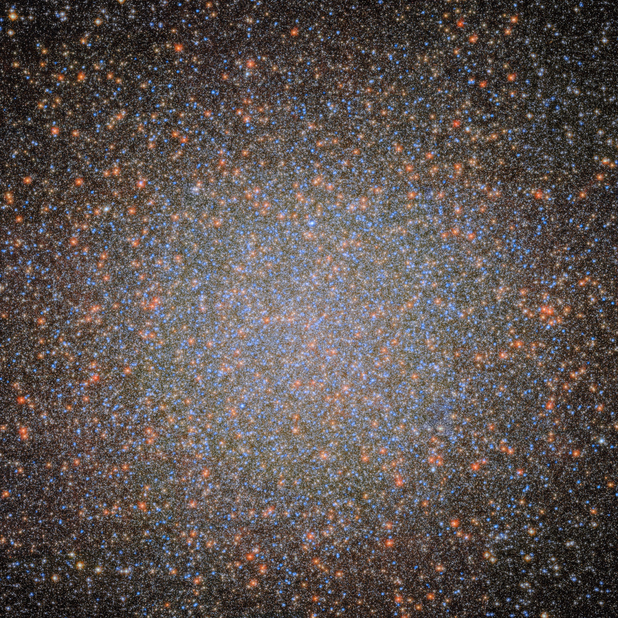 A Hubble image of the globular cluster Omega Centauri, a collection of myriad stars colored red, white, and blue on the black background of space.