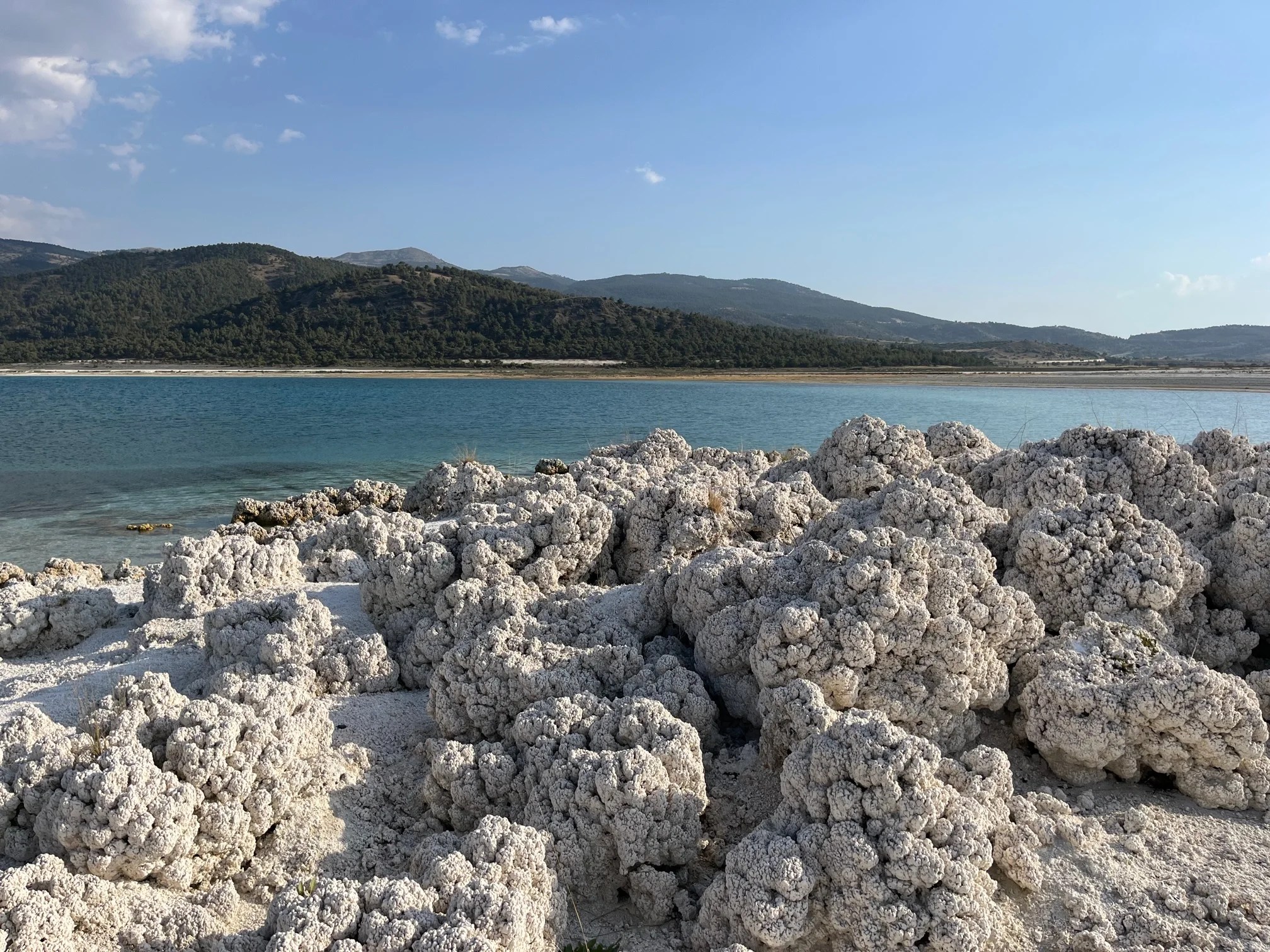 Dried up microbial structures are seen on the shore of the clear blue waters of a lake. The structures are bleached white in the Sun and look similar to brain-like coral.