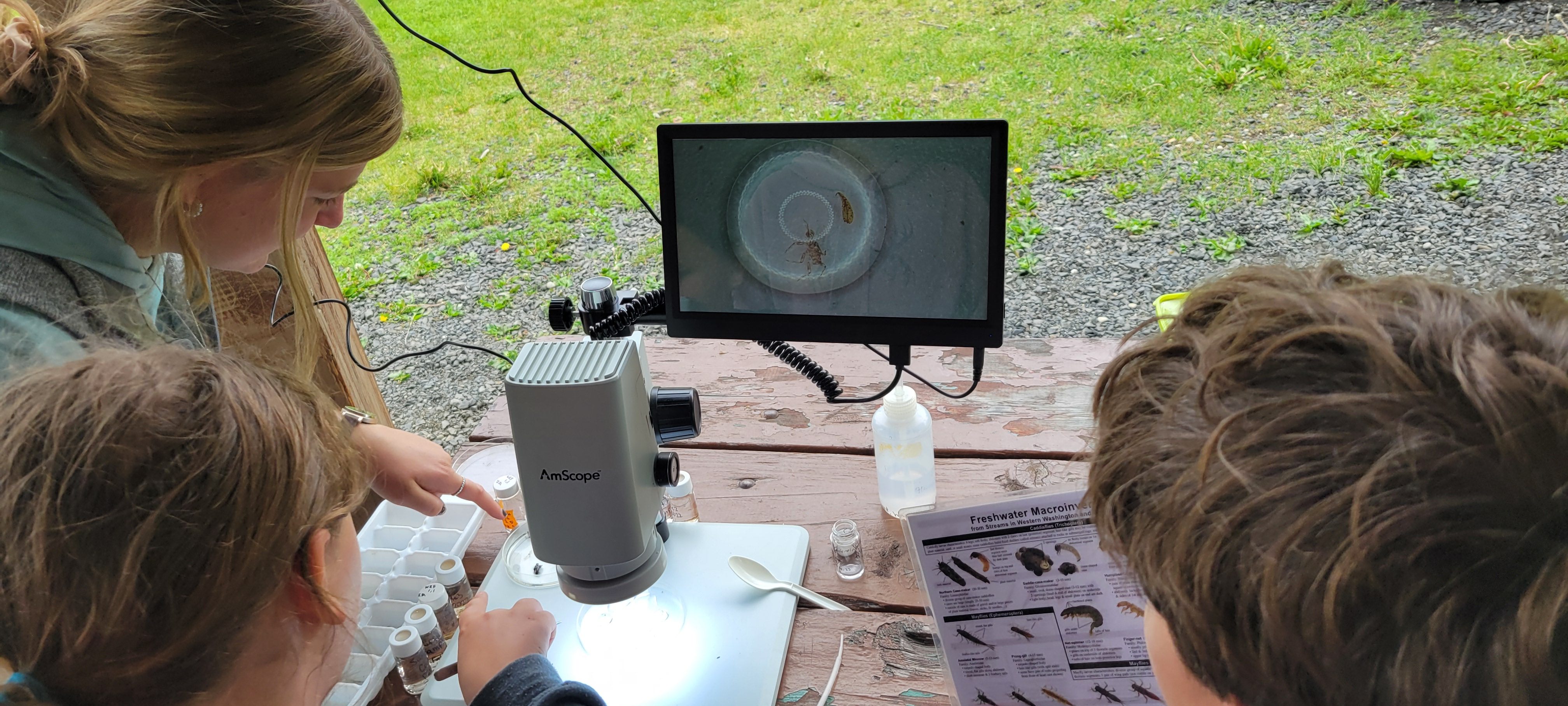 Two young students and their mentor, an intern, identify bugs using a microscope.