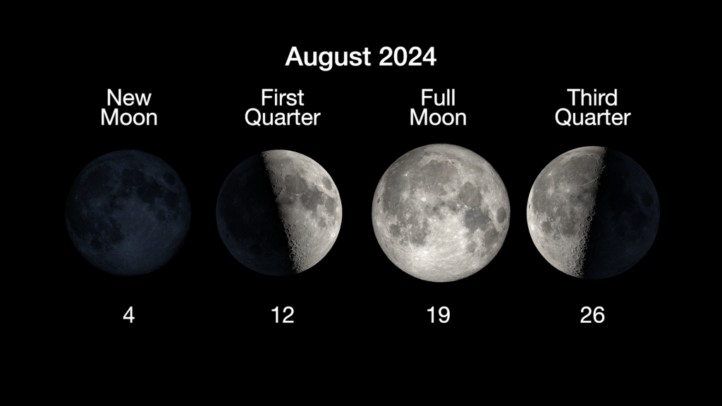 The main phases of the Moon are illustrated in a horizontal row, with the new moon on August 4th, first quarter on August 12th, full moon on August 19th, and the third quarter moon on August 26th