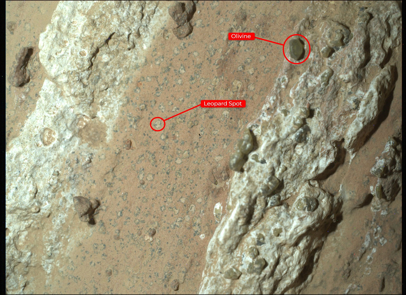 Annotated version of Perseverance finds a rock with 'Leopard Spots'