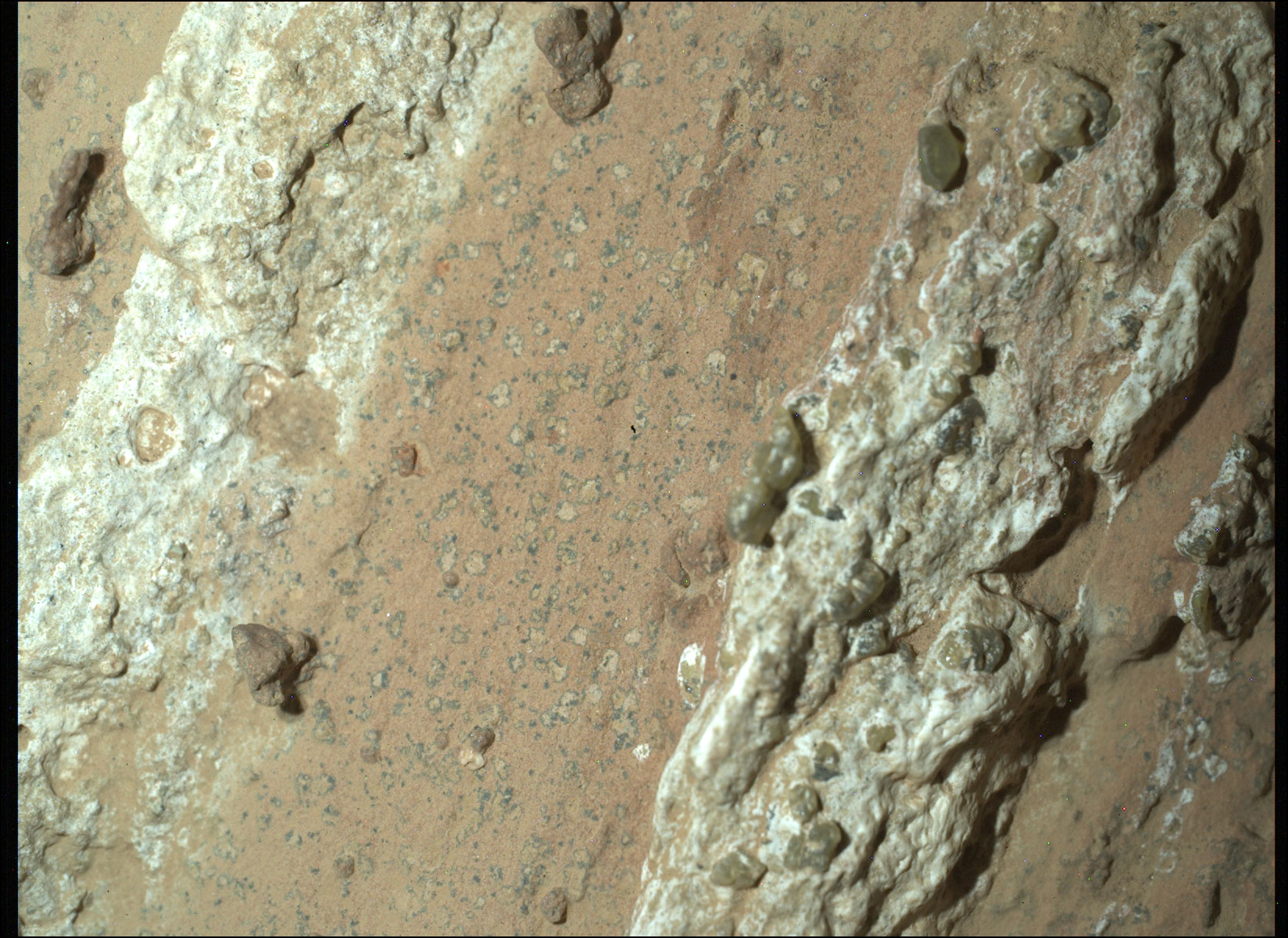 NASA’s Perseverance rover discovered “leopard spots” on a reddish rock nicknamed “Cheyava Falls” in Mars’ Jezero Crater in July 2024. Scientists think the spots may indicate that, billions of years ago, the chemical reactions in this rock could have supported microbial life; other explanations are being considered.