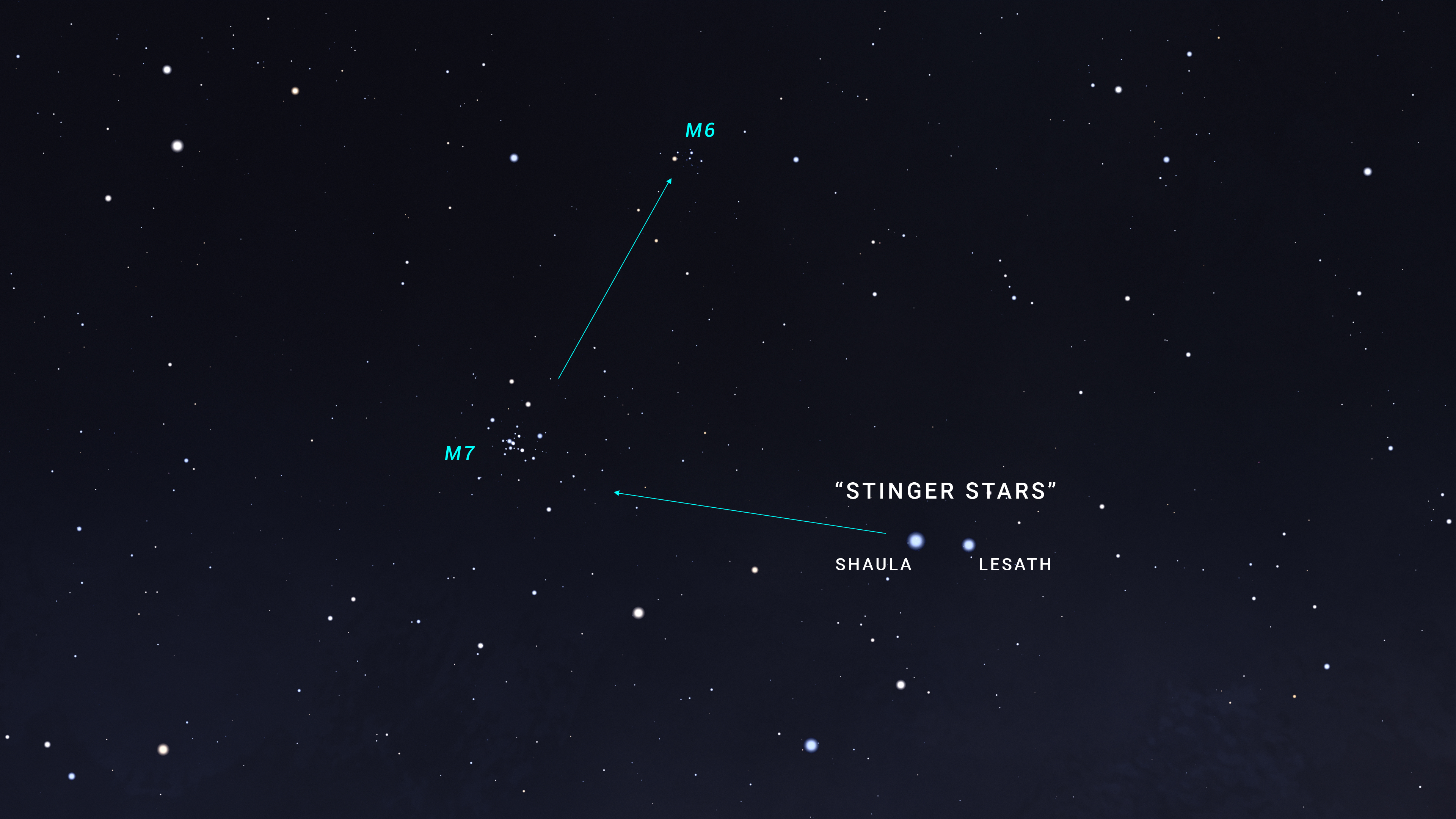 An illustrated sky chart shows a zoomed-in view, like what binoculars would reveal. Stinger stars Shaula and Lesath are labeled at right. An arrow drawn through these two stars points to the position of M7, while another arrow of about the same length points upward to the position of M6.