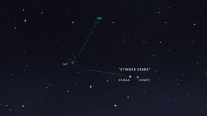 An illustrated sky chart shows a zoomed-in view, like what binoculars would reveal. Stinger stars Shaula and Lesath are labeled at right. An arrow drawn through these two stars points to the position of M7, while another arrow of about the same length points upward to the position of M6.