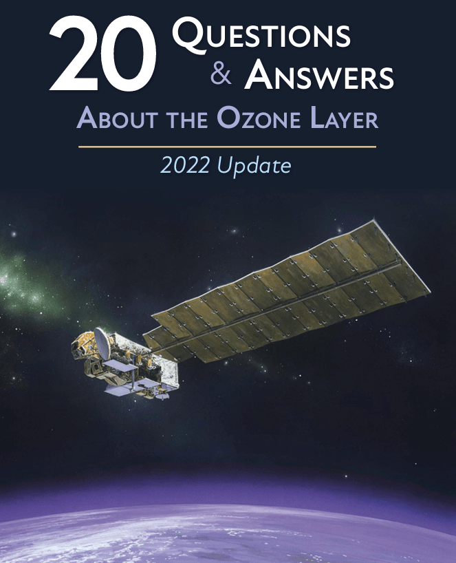 Twenty Questions and Answers About the Ozone Layer: 2022 Update