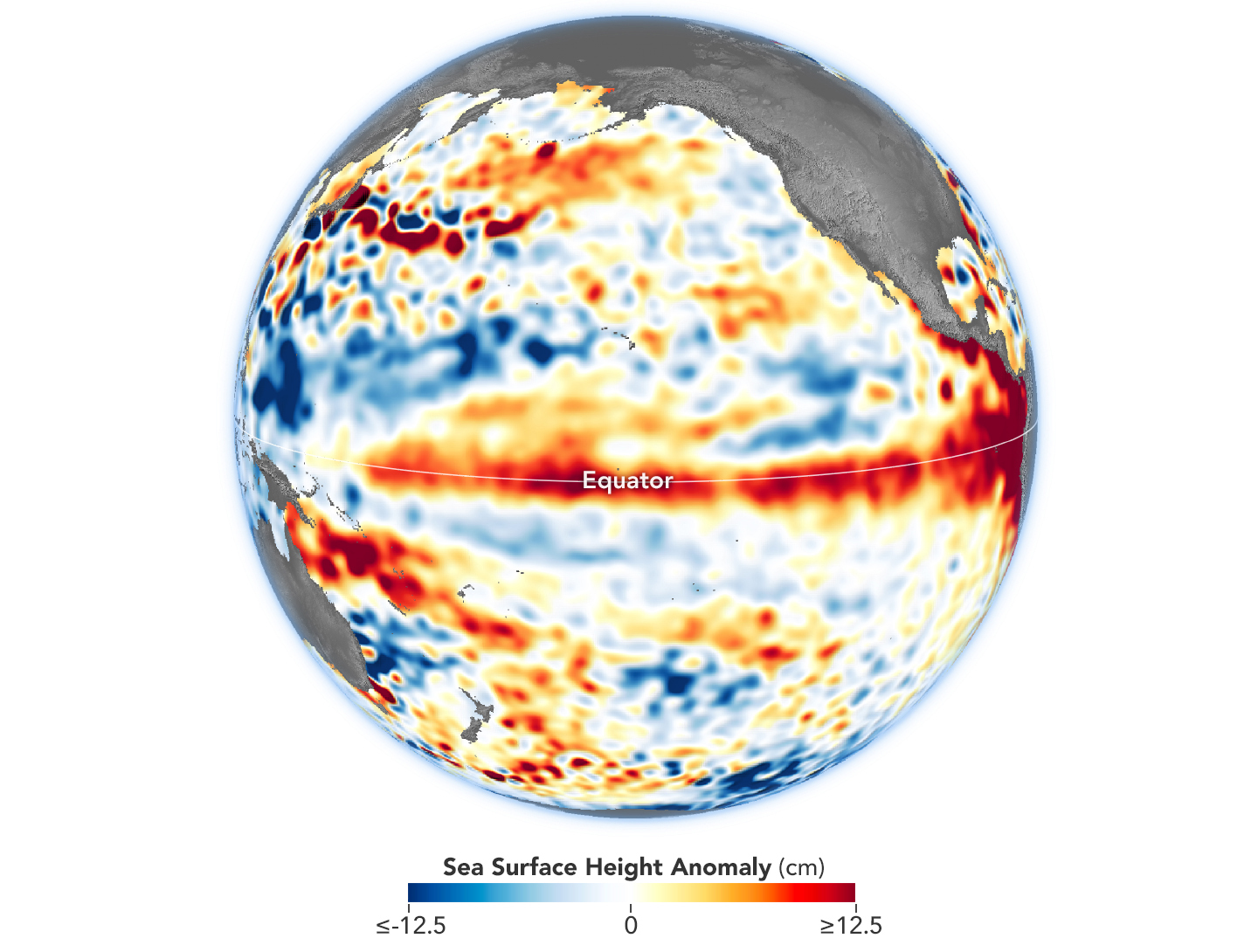 Water expands as it warms, causing the surface of the ocean to rise. Higher-than-usual sea surfaces in the tropical Pacific Ocean, shown here from June 1–10, 2023, are a signature of El Niño.