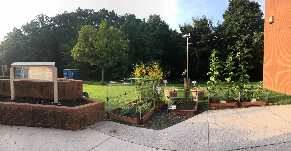 Ozone Bioindicator Garden