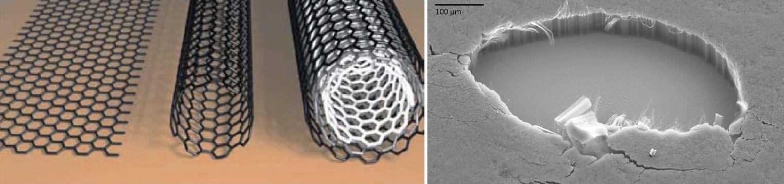 Left; Images of graphene, which is a flat hexagonal array of carbon atoms, including single walled nanotubes which look like rolled up graphene and multiwalled carbon nanotubes which look like nested tubes Right; a carbon nanotube forest which has a section cut out of it revealing vertically aligned tubes