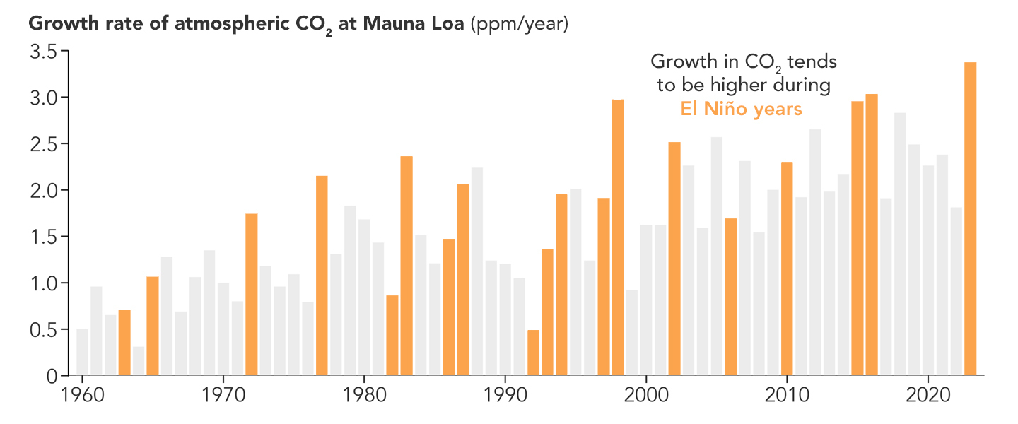 Atmospheric carbon dioxide has increased steadily since 1960. Data show that the long-term rise in atmospheric CO2 (due to human activities) is more pronounced during El Niño years.