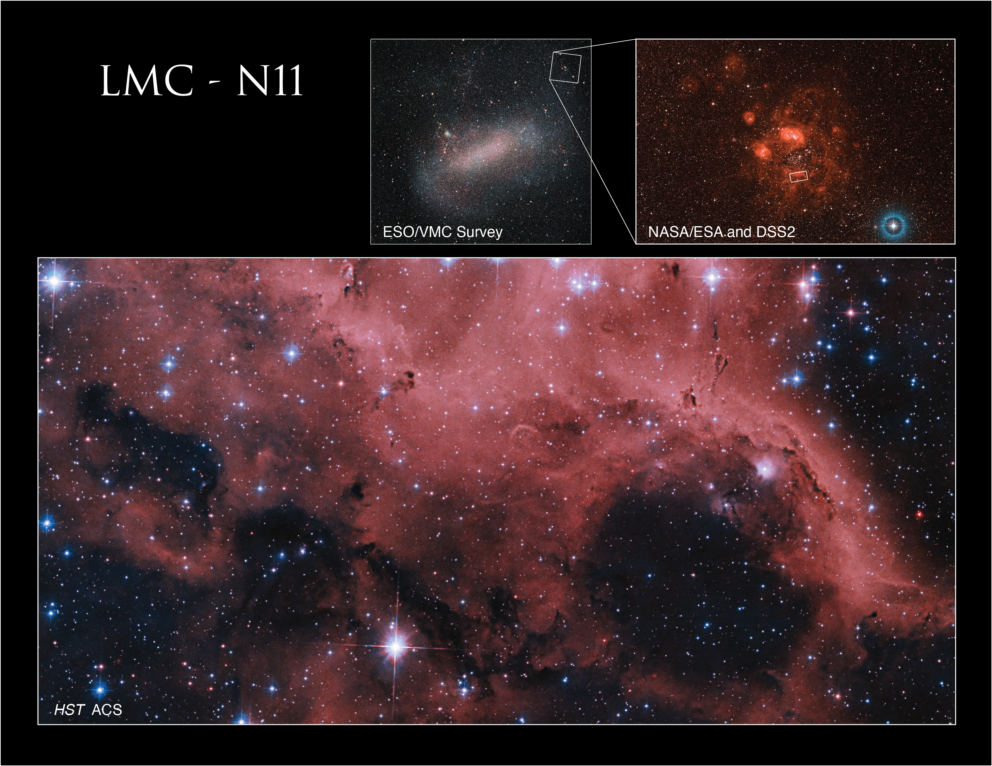 The bottom half of the image shows N11. Glowing clouds of pink and red gas and dust fill the image, along with several stars – foreground stars shine with diffraction spikes, and more distant stars fill the background. Above it to the right, a smaller image shows a starry region of space with orange tendrils of gas and dust with a white rectangle designating the portion that shows N11. To its left, another small image shows a wide view of a diffuse galaxy with a white rectangle designating the portion that shows N11. To its left, white text reads “LMC - N11”.