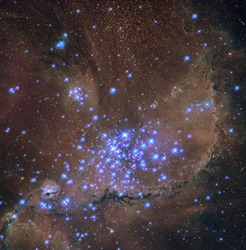 A grouping of large, glowing, and purplish stars dominate the image’s center. Dark ridges of gas and dust are visible around them, with more background stars crowding the view.