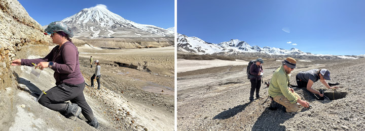 My lunch and dinner.  