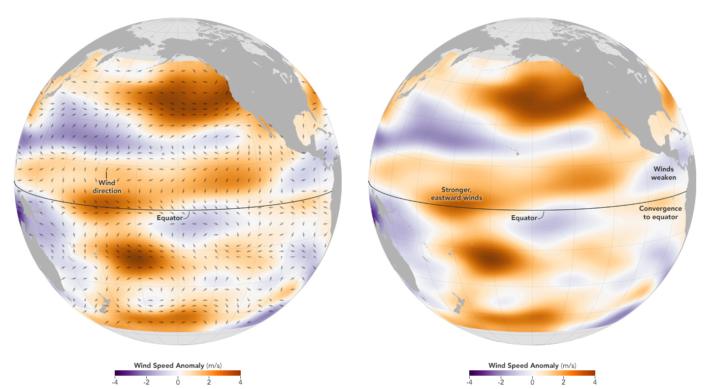 During an El Niño, wind patterns shift all over the Pacific Ocean. Most significantly, they get weaker (purple) in the eastern tropical Pacific, allowing warm surface water to move toward the Americas.