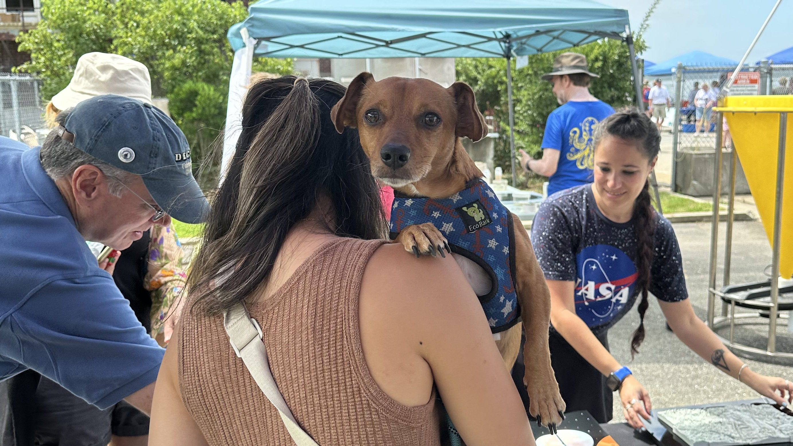 A woman in a NASA t-shirt demonstrates experiments to a woman holding a dog that is looking at the camera. A man leans in from the left side of the image.