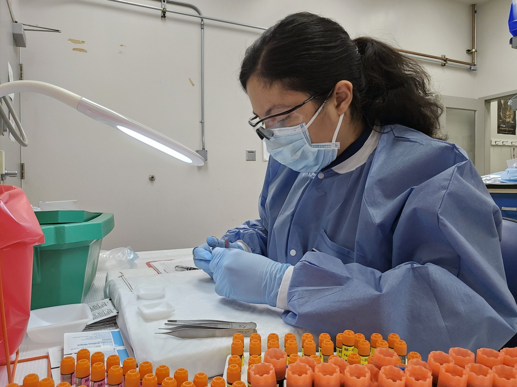 America Reyes Wang wears personal protective equipment (PPE) while working on an activity for NASA's Biospecimen Sharing Program.