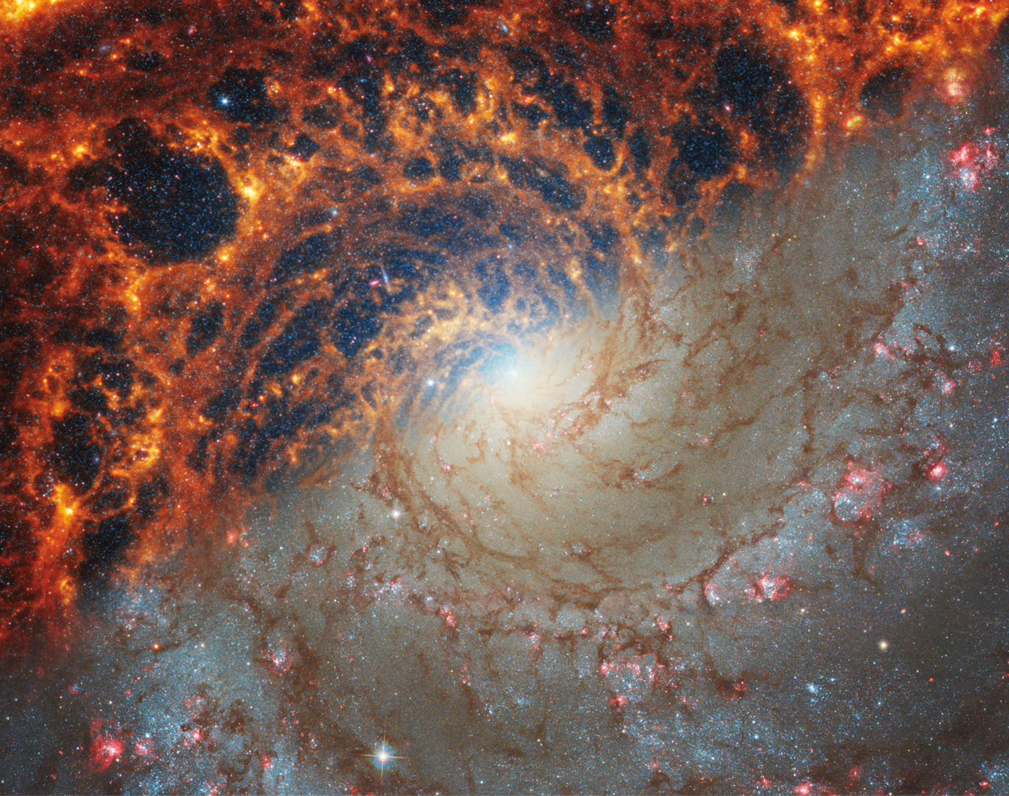 Webb and Hubble’s Views of Spiral Galaxy NGC 628