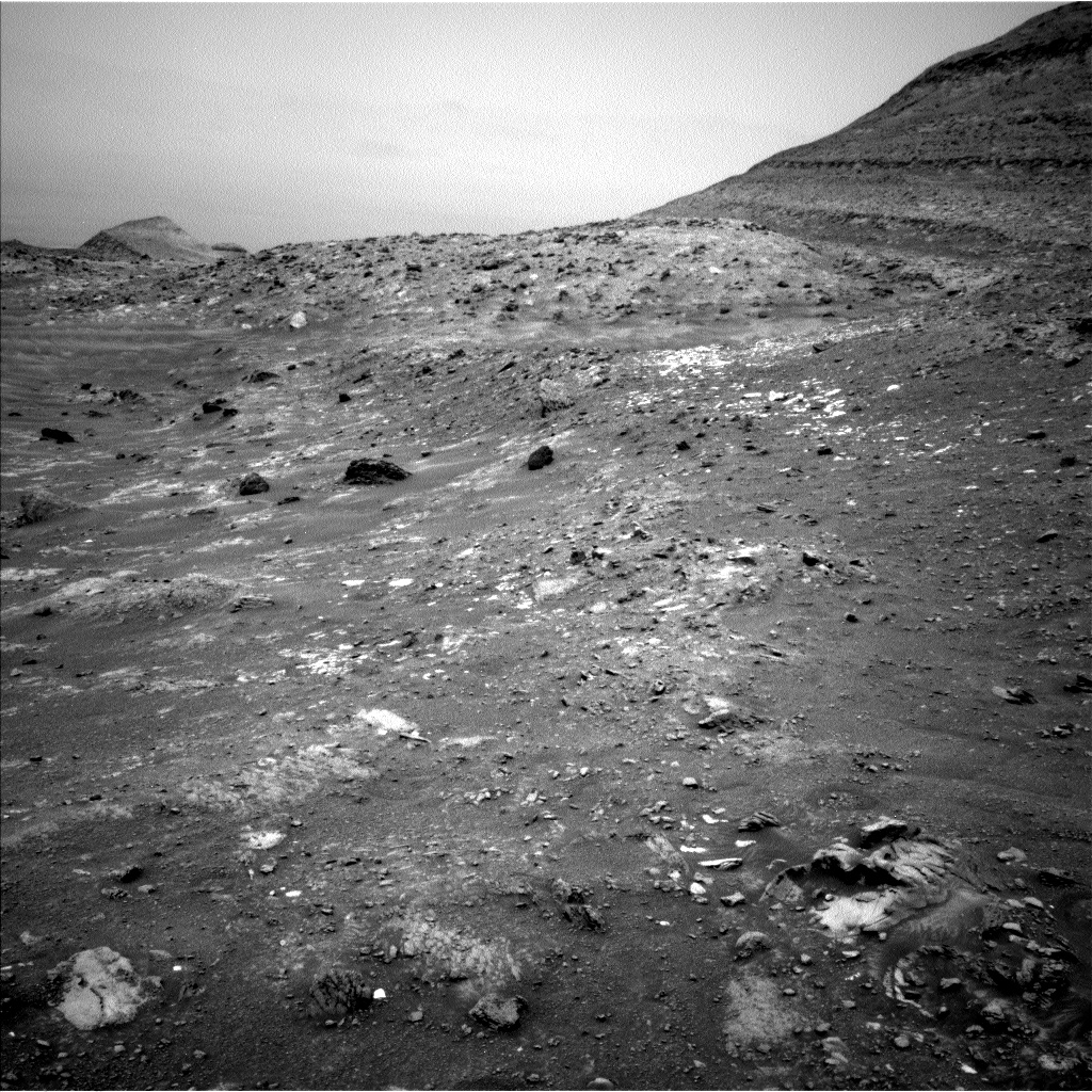 A grayscale view of the Martian surface shows undulating terrain rising gently toward the upper right of the frame, where it reaches a hill that then extends at a 45-degree angle to the top-right corner of the image. Off in the distance at the far left is another butte rising from the ground. The rocks and soil throughout are mainly medium to dark gray, except for several brightly colored rocks scattered around the scene that stand out from the rest.